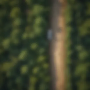 Aerial view of dense vegetation before using Roundup Poison Ivy Plus Tough Brush Killer