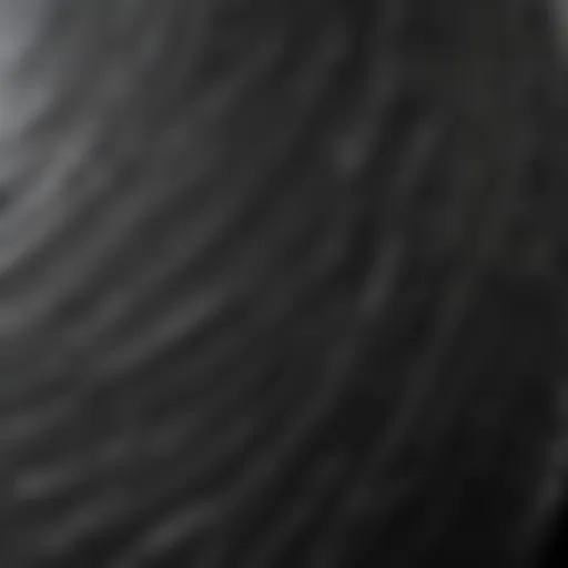 Rubber Paint Texture and Finish A close-up view of rubber paint exhibiting its texture and finish