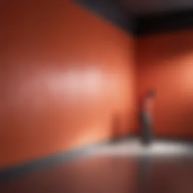 Vibrant Rubber Paint Wall Application A vibrant application of rubber paint on a wall showcasing its color variety