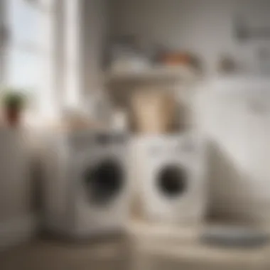 Comparative Analysis of Laundry Baskets Comparison chart between Rubbermaid Flex Laundry Basket and alternative laundry baskets