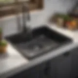 Elegant Rubbermaid Sink Protector in Black