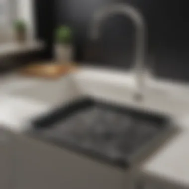 Functional Rubbermaid Sink Protector in Black
