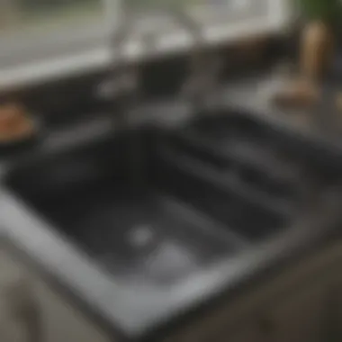 Stylish Rubbermaid Sink Protector in Black