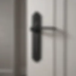 Elegant Schlage Latitude Collins Matte Black Series Door Handle