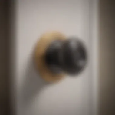 Privacy-Enhancing Technology Schlage Orbit Privacy Knob with Enhanced Privacy Features