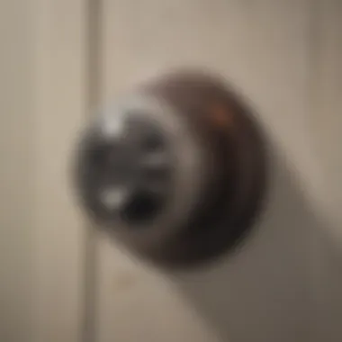 Installation Guide for Easy Setup Schlage Orbit Privacy Knob Installation Guide