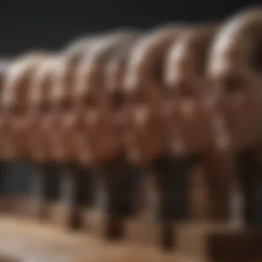 Screw head shapes for woodworking