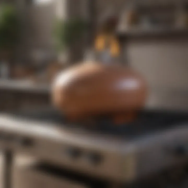 Seamless Connection to Larger Propane Tanks