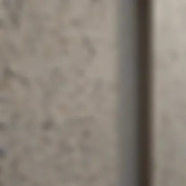 Textured Exterior Paint Detail Close-up of textured paint on a house wall