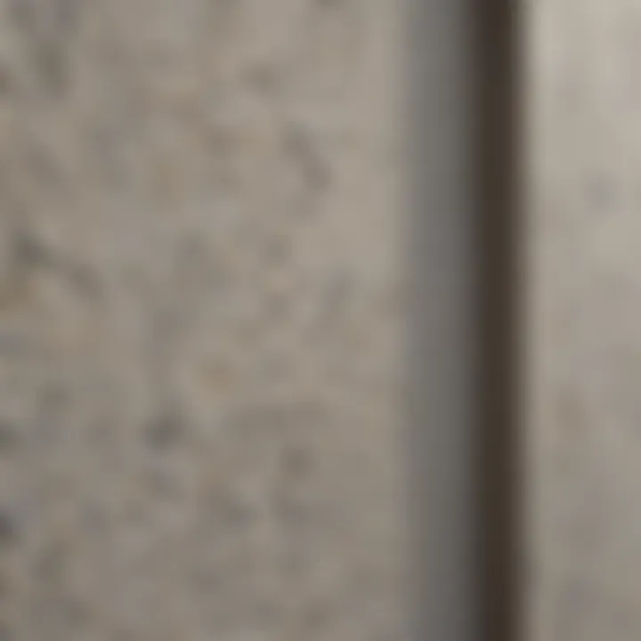 Textured Exterior Paint Detail Close-up of textured paint on a house wall