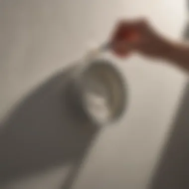 Precision in Low Odor Primer Application Close-up of low odor primer application on a wall