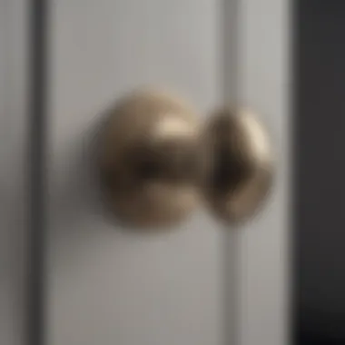 Sleek Contemporary Center Door Knob Hardware