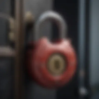 Elegant Aesthetics with Robust Functionality Sleek Design Outdoor Padlock
