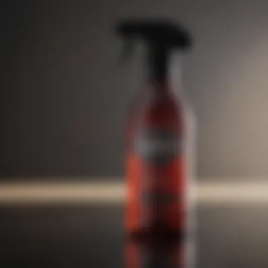 Sleek and efficient plastic spray bottle for precision