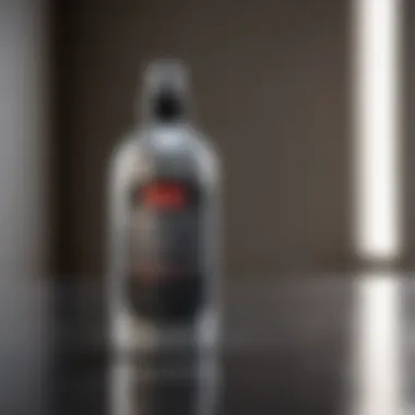 Contemporary Appeal of Glossy Top Coat Spray Paint Sleek glossy top coat spray paint on modern metallic surface