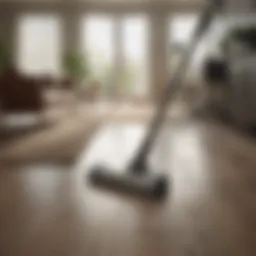 Sleek and Modern Design of Bissell Natural Sweep