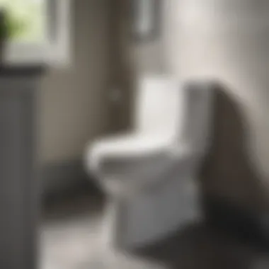 Sleek Mayfair by Bemis Toilet Seat with Modern Design