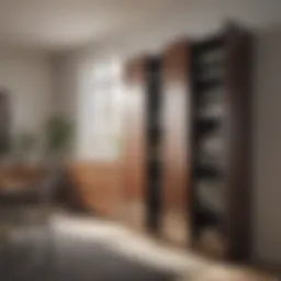 Sleek Modern Over the Door Storage Cabinet