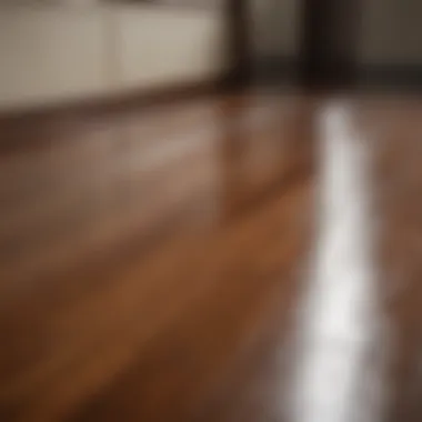 Sleek Wet Look Transformation