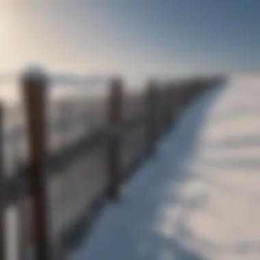 Snow Fence Placement Strategy