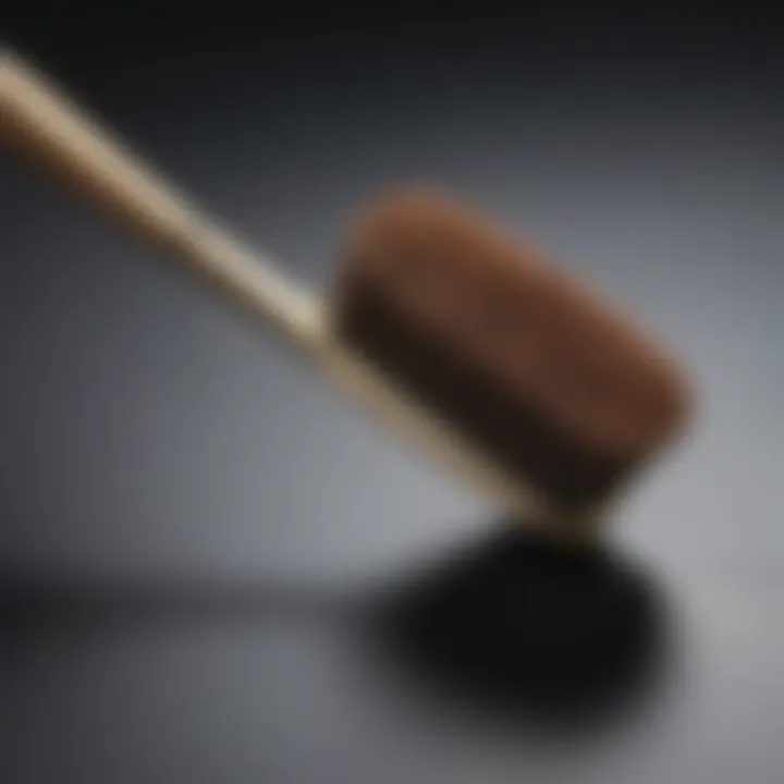 Sophisticated Purdy Brush with Ergonomic Handle