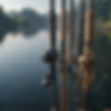 Variety of Fishing Rods Fishing Rods Collection