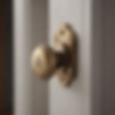 Technological Advancements State-of-the-art indoor latch lock technology