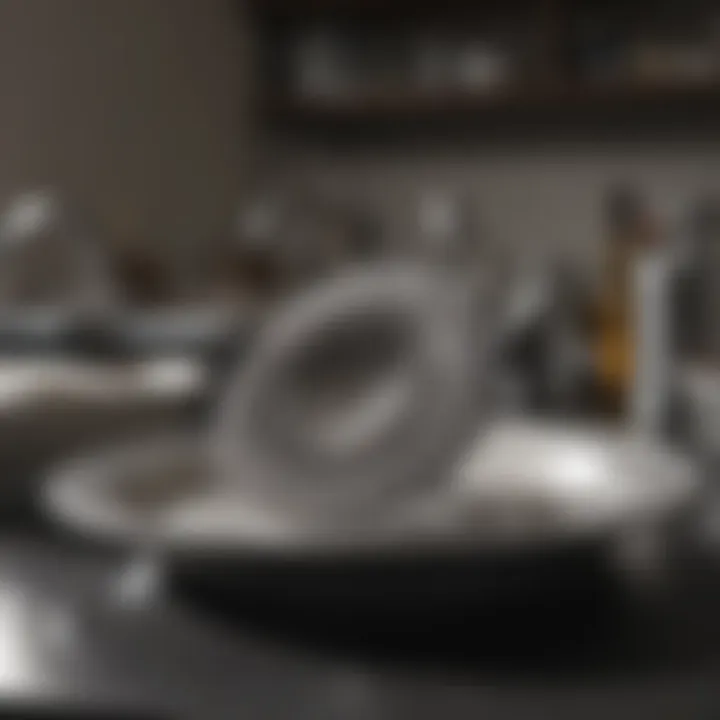 Steel scrubber next to sparkling clean dishes