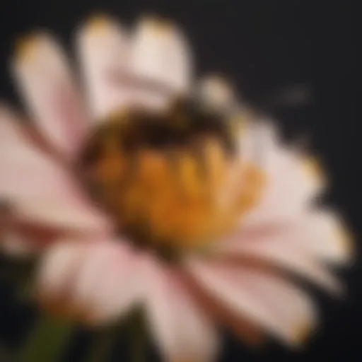 Close-up of a wasp on a flower