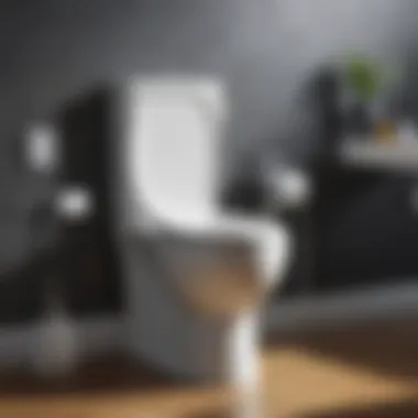Aesthetic Element in Cleaning Tools Stylish Clip-On Toilet Bowl Cleaner Design
