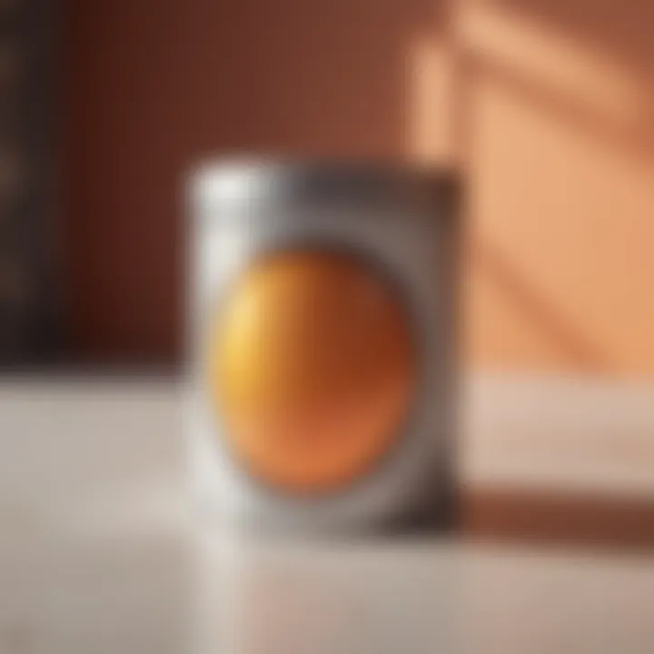 Sunset Haze Krylon Fusion Paint Color