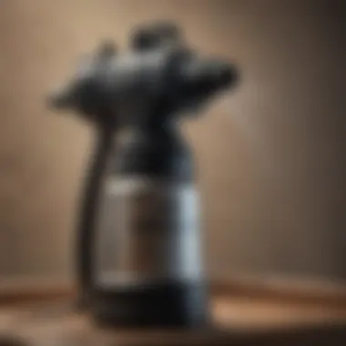 Surespray Sprayer in Action