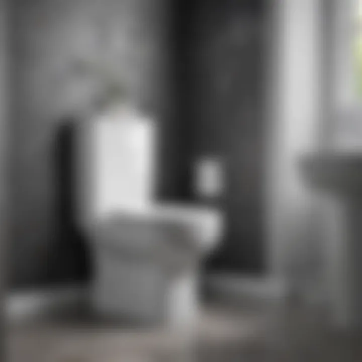 Sustainable cleaning solution for toilets