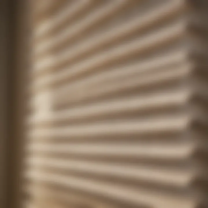 Close-up of textured ivory window blinds in natural light