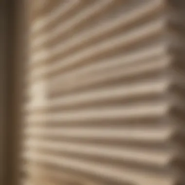 Timeless Charm and Versatility Close-up of textured ivory window blinds in natural light