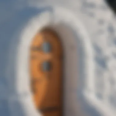 Close-up of an igloo doghouse door demonstrating insulation features