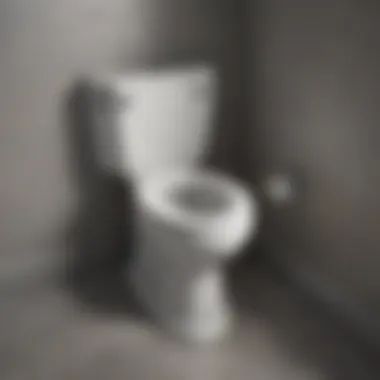 Illustration of toilet flange installation process