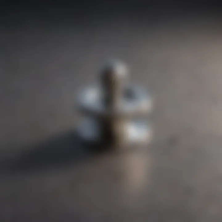 Durable and rust-resistant toilet floor bolt cap in stainless steel