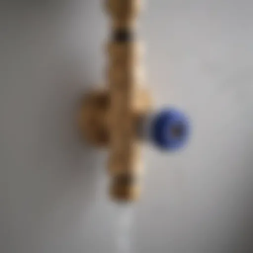 Illustration of Toilet Flush Valve Kit Components