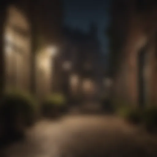 Lighting up a dark path with Bell & Howell Torch Light