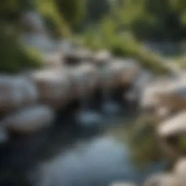 Tranquil Water Feature Surrounded by White Rocks