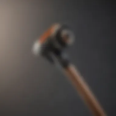 Close-up of Trimmer Plus extension pole features