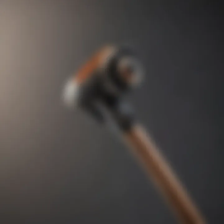 Close-up of Trimmer Plus extension pole features