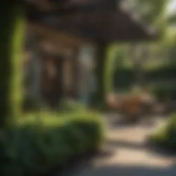 Lush Greenery