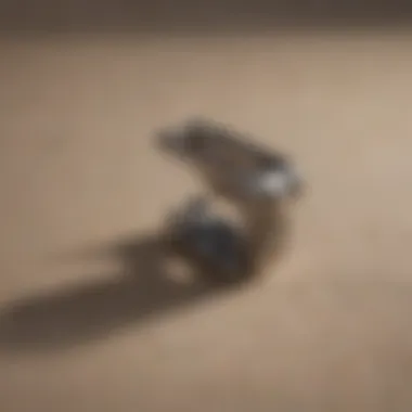 Coleman Tablecloth Clamp - Types and Varieties