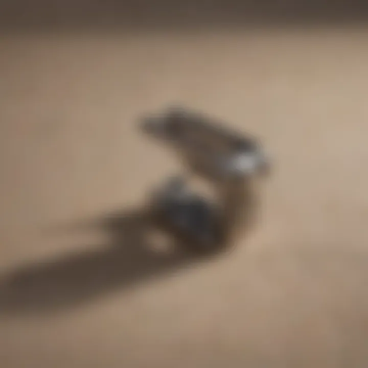 Coleman Tablecloth Clamp - Types and Varieties