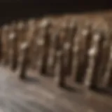 Various types of wood screws