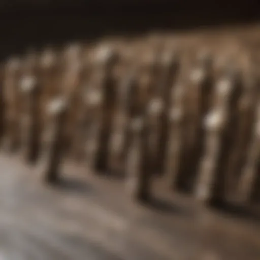 Various types of wood screws