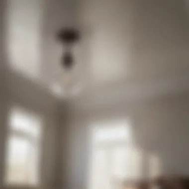 Masterful Spray Application Method Precision Application of Ceiling Stain Spray