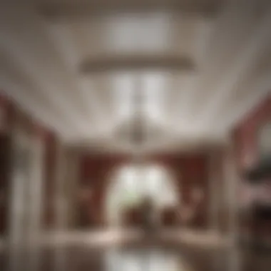 Achieving Immaculate Results with Ceiling Stain Spray